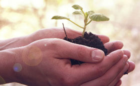 10 cursos de graça para quem tem interesse na área ambiental