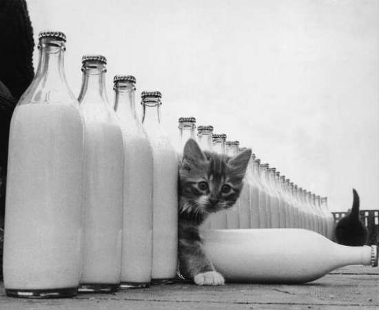 Não basta saber calcular a área de um objeto: às vezes, você vai precisar comparar diferentes grandezas - sem esquecer de converter as medidas para a mesma unidade. Foto: Getty Images Não basta saber calcular a área de um objeto: às vezes, você vai precisar comparar diferentes grandezas - sem esquecer de converter as medidas para a mesma unidade. Foto: Getty Images