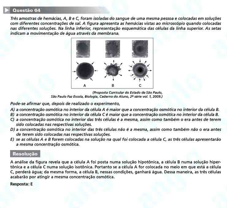 Unesp 2011: Questão 64 – Primeira fase