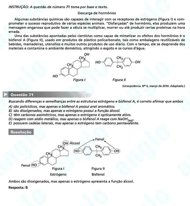 Unesp 2011: Questão 71 – Primeira fase