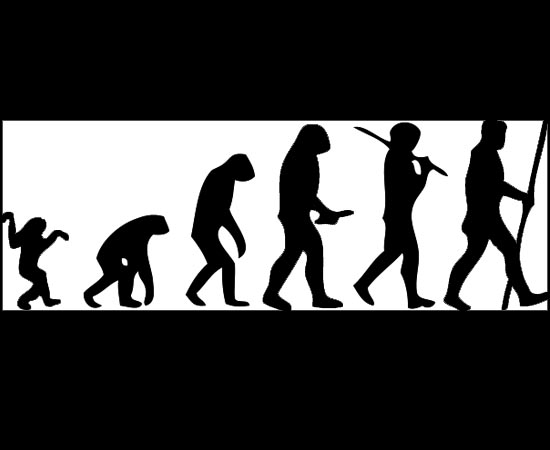 ÁRVORE DA VIDA - Estude sobre os diferentes ramos da evolução, cordados, vertebrados e invertebrados. ÁRVORE DA VIDA - Estude sobre os diferentes ramos da evolução, cordados, vertebrados e invertebrados.