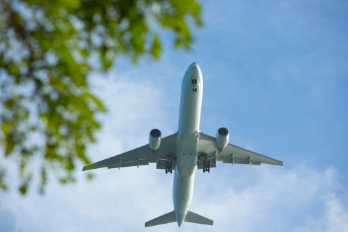 O profissional pode atuar na coordenação e supervisão de serviços de transporte aéreo, marítimos, ferroviário e rodoviário. O profissional pode atuar na coordenação e supervisão de serviços de transporte aéreo, marítimos, ferroviário e rodoviário.