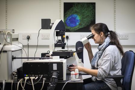 UERJ oferece vagas no doutorado em Microbiologia Médica