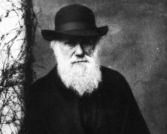 É por parte de avô ou avó que você descende do macaco?, perguntou o bispo Samuel Wilberforce em um debate contra a teoria da evolução para uma plateia lotada no museu da Universidade de Oxford. Era o dia 30 de junho de 1860. Charles Darwin (foto), que nunca falou publicamente sobre a sua descoberta, havia comentado que gostaria tanto de estar morto quanto de responder ao bispo numa assembleia. É por parte de avô ou avó que você descende do macaco?, perguntou o bispo Samuel Wilberforce em um debate contra a teoria da evolução para uma plateia lotada no museu da Universidade de Oxford. Era o dia 30 de junho de 1860. Charles Darwin (foto), que nunca falou publicamente sobre a sua descoberta, havia comentado que gostaria tanto de estar morto quanto de responder ao bispo numa assembleia.