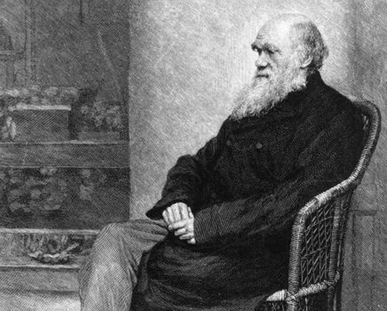 A defesa do evolucionismo no debate de Oxford coube ao amigo Thomas Huxley, que disse: O que eu preferiria como avô? Um homem altamente dotado pela natureza, mas que utiliza suas faculdades com o mero propósito de introduzir o ridículo numa discussão científica, ou um miserável macaco? Sem hesitar, escolho o macaco. Discussões como essa despertaram o interesse público sobre a ciência. A defesa do evolucionismo no debate de Oxford coube ao amigo Thomas Huxley, que disse: O que eu preferiria como avô? Um homem altamente dotado pela natureza, mas que utiliza suas faculdades com o mero propósito de introduzir o ridículo numa discussão científica, ou um miserável macaco? Sem hesitar, escolho o macaco. Discussões como essa despertaram o interesse público sobre a ciência.