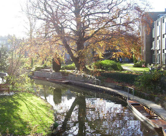 Apesar de ser a segunda universidade de língua inglesa mais antiga do mundo, Cambridge está acima de Oxford neste ranking. As duas universidades compartilham diversas semelhanças, mas é a instituição que mais acumula vencedores do prêmio Nobel: 65. Entre os célebres estudantes que frequentaram Cambridge, estão Charles Darwin, Isaac Newton, Francis Bacon, Virginia Woolf e membros do grupo de comediantes Monty Python. Apesar de ser a segunda universidade de língua inglesa mais antiga do mundo, Cambridge está acima de Oxford neste ranking. As duas universidades compartilham diversas semelhanças, mas é a instituição que mais acumula vencedores do prêmio Nobel: 65. Entre os célebres estudantes que frequentaram Cambridge, estão Charles Darwin, Isaac Newton, Francis Bacon, Virginia Woolf e membros do grupo de comediantes Monty Python.