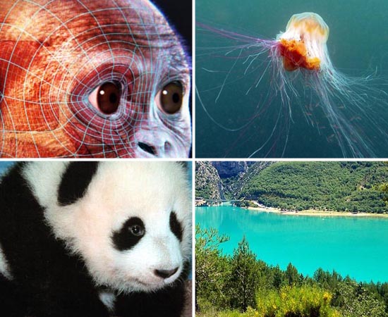 Passe as fotos a seguir para ver detalhes de cada matéria de Biologia que cai no vestibular. Passe as fotos a seguir para ver detalhes de cada matéria de Biologia que cai no vestibular.