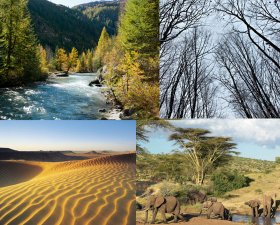 Descubra as principais características de cada um deles e estude Geografia para o vestibular! Descubra as principais características de cada um deles e estude Geografia para o vestibular!