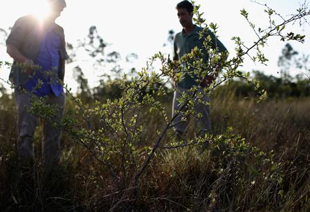 IFPB inscreve para mestrado em Gestão Ambiental de Municípios