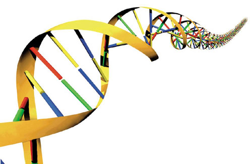 Biologia – Genética