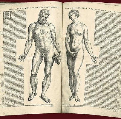 O corpo humano tem 60% de água. Por isso, a primeira consequência da falta de água potável é o aumento de problemas de saúde na população.