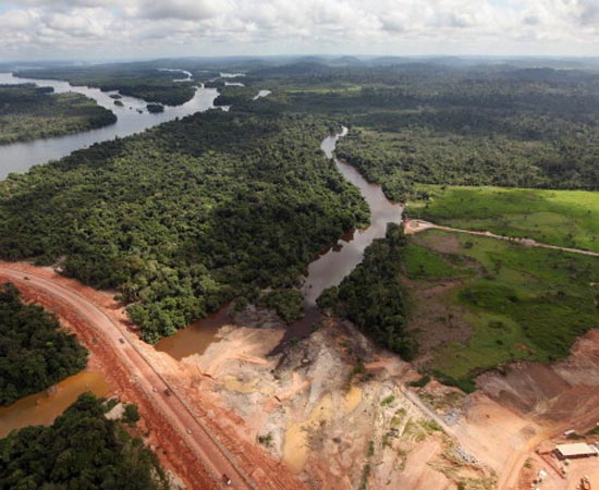 ENGENHARIA FLORESTAL - É o ramo da engenharia voltado para o estudo e o uso sustentável de recursos florestais. O engenheiro florestal avalia o potencial de ecossistemas florestais e planeja seu aproveitamento de modo a preservar a flora e a fauna.