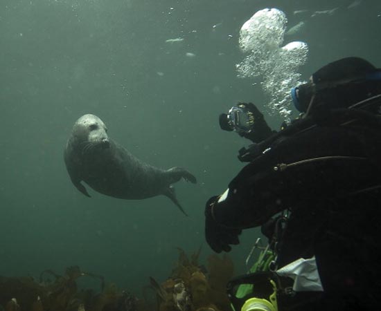 OCEANOGRAFIA - É a ciência que investiga as características de mares, rios, lagos, oceanos e zonas costeiras sob todos os aspectos, desde sua descrição física até a interpretação dos fenômenos que neles se verificam, além de sua interação com os continentes e com a atmosfera.