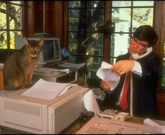 Foto: Getty Images Foto: Getty Images