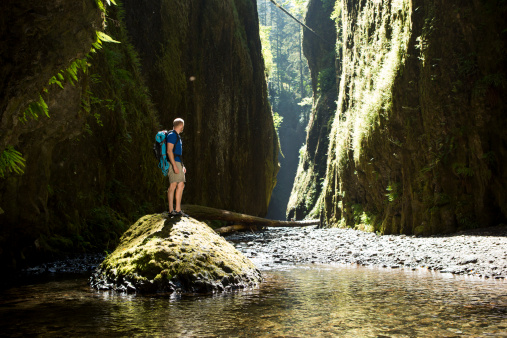 Organizar roteiros de ecoturismo a atuar como guia é outra possibilidade para o profissional de Turismo.