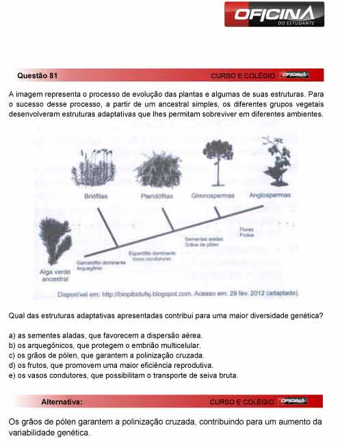 Enem 2012: correção da questão 81