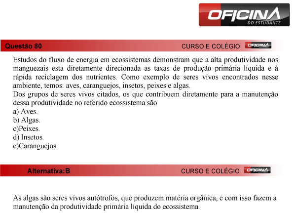 Enem 2013 – Correção da questão 80 – Ciências da Natureza