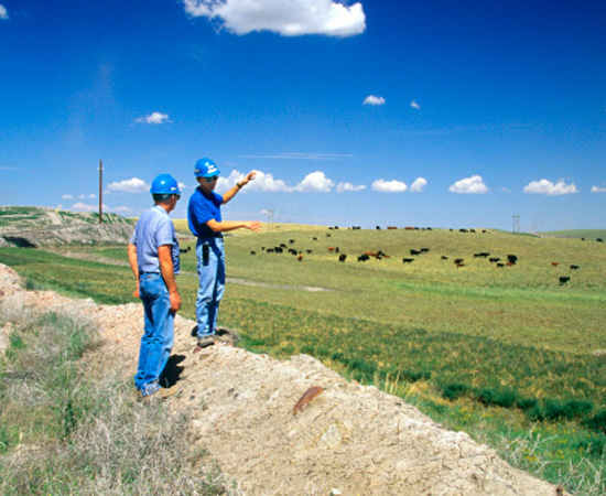 Engenharia Agrícola - São as técnicas e os conhecimentos empregados no gerenciamento de processos agropecuários.