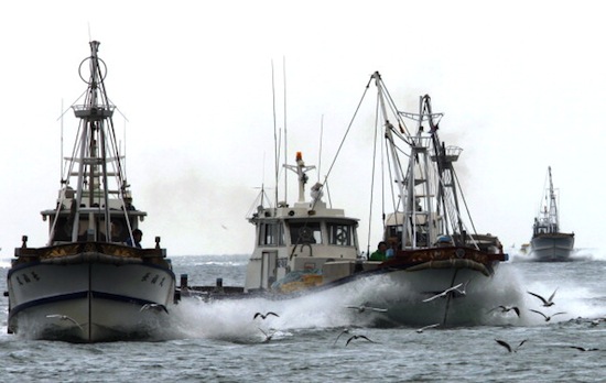 ENGENHARIA DE PESCA: Voltada para o cultivo, a captura e a industrialização de organismos aquáticos, a Engenharia de Pesca exige que o profissional passe tempo próximo a rios e oceanos.