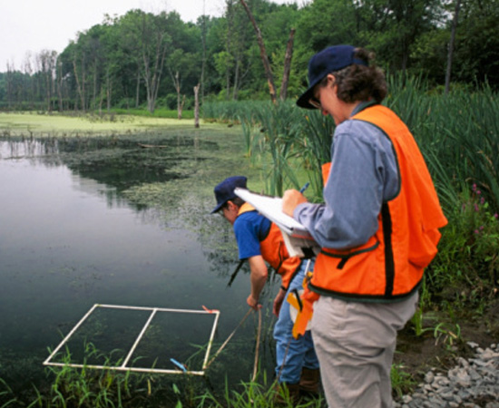 Engenharia Florestal - É o ramo da engenharia voltado para o estudo e o uso sustentável de recursos florestais. O engenheiro florestal avalia o potencial de ecossistemas florestais e planeja seu aproveitamento de modo a preservar a flora e a fauna locais. Engenharia Florestal - É o ramo da engenharia voltado para o estudo e o uso sustentável de recursos florestais. O engenheiro florestal avalia o potencial de ecossistemas florestais e planeja seu aproveitamento de modo a preservar a flora e a fauna locais.