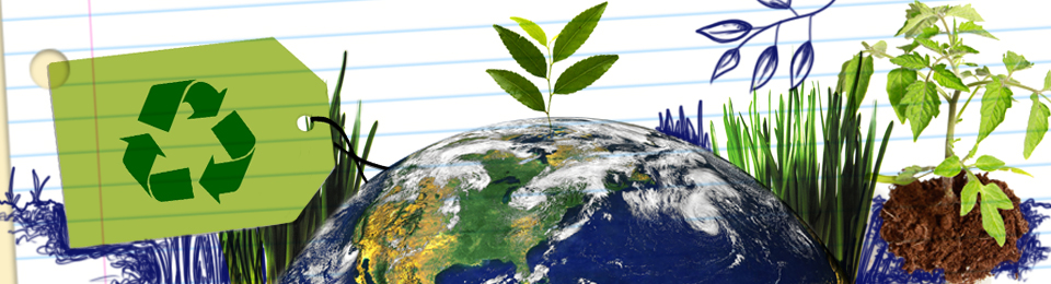 Qual é  a diferença entre Engenharia Ambiental e Ciência Ambiental?