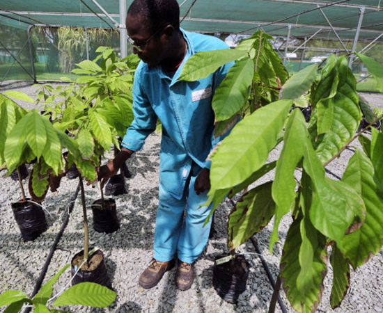 UEMA abre inscrições para pós-graduação em Agroecologia
