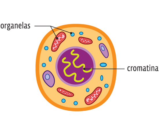 Guia do Estudante - Biologia - 2013