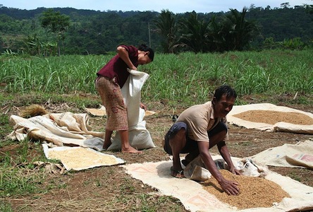 Conheça as características e transformações das estruturas produtivas, como o escravismo antigo, feudalismo, capitalismo e socialismo. Conheça as características e transformações das estruturas produtivas, como o escravismo antigo, feudalismo, capitalismo e socialismo.