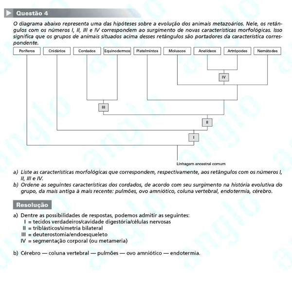 Fuvest 2012: Questão 4 (segunda fase) – conhecimentos específicos – prova de biologia