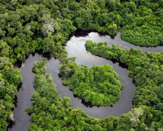 Fica nas proximidades da linha do Equador, abarcando o Amazonas, norte de Mato Grosso e oeste do Maranhão. Chove durante o ano todo, e em grande quantidade; é bastante úmido e a temperatura varia pouco no decorrer do ano, com média de 26ºC (foto Getty Images)