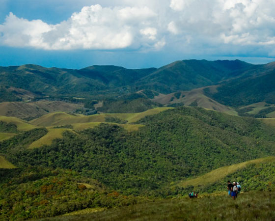 É o clima das áreas com altitude acima de 800 metros em Minas Gerais, no Espírito Santo, no Rio de Janeiro e em São Paulo. Os verões são quentes e chuvosos e os invernos, frios e secos. Em comparação com o clima tropical, o tropical de altitude tem o mesmo comportamento pluviométrico, mas as médias anuais de temperatura são menores, ficando em torno dos 20ºC - no inverno, as temperaturas são bem mais baixas (foto: Getty Images)