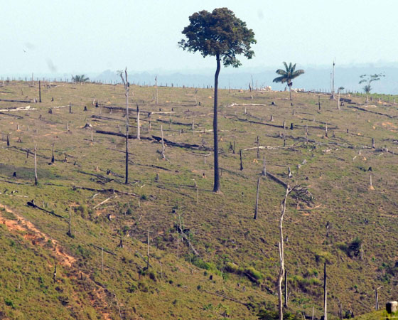 No Enem 2008 a proposta pedia uma resposta para: "Como preservar a floresta Amazônica". Foram sugeridas três possibilidades - suspender imediatamente o desmatamento; dar incentivo financeiros a proprietários que deixarem de desmatar; ou aumentar a fiscalização e aplicar multas a quem desmatar. O Guia publicou duas análises de redação com dicas sobre o tema. Podem ser conferidas <a href="https://preprod.guiadoestudante.abril.com.br/blog/redacao-para-o-enem-e-vestibular/analise-da-redacao-tema-como-preservar-a-floresta-amazonica/" target="_blank" rel="noopener">aqui</a> e <a href="https://preprod.guiadoestudante.abril.com.br/blog/redacao-para-o-enem-e-vestibular/analise-de-redacao-a-importancia-de-proteger-a-floresta-amazonica/" target="_blank" rel="noopener">aqui</a>. Sobre o assunto, <a href="https://preprod.guiadoestudante.abril.com.br/curso-enem-play/atualidades-ciencias-e-meio-ambiente-desmatamento/" target="_blank" rel="noopener">vale a pena conferir um texto de atualidades</a> do Curso Enem.