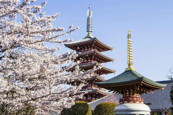 A rádio NHK World, emissora pública do Japão, oferece um curso de japonês (https://www.nhk.or.jp/lesson/portuguese/) com histórias em áudio que ajudam a aprendem gramática básica e expressões úteis da língua. São 48 lições e também há bastante material de apoio. O material didático está todo em português. (Imagem: iStock) A rádio NHK World, emissora pública do Japão, oferece um curso de japonês (https://www.nhk.or.jp/lesson/portuguese/) com histórias em áudio que ajudam a aprendem gramática básica e expressões úteis da língua. São 48 lições e também há bastante material de apoio. O material didático está todo em português. (Imagem: iStock)