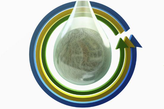 Os principais ciclos biogeoquímicos estudados são o ciclo da água, do carbono, do oxigênio e do nitrogênio. Ter conhecimento das etapas desses ciclos é importante principalmente para um uso adequado dos recursos naturais, já que em qualquer um deles acontece a retirada de uma substância da sua fonte. (Imagem: iStock) Os principais ciclos biogeoquímicos estudados são o ciclo da água, do carbono, do oxigênio e do nitrogênio. Ter conhecimento das etapas desses ciclos é importante principalmente para um uso adequado dos recursos naturais, já que em qualquer um deles acontece a retirada de uma substância da sua fonte. (Imagem: iStock)