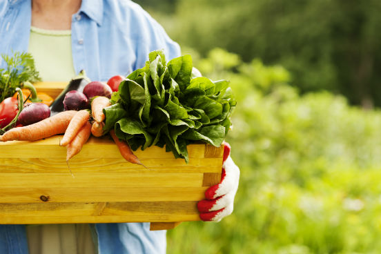 Ital inscreve para mestrado acadêmico em Ciência dos Alimentos