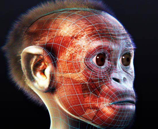 HISTÓRIA DA VIDA - Estude sobre o povoamento da Terra, os primeiros organismos, as cianobactérias, os primeiros seres unicelulares e os primeiros seres multicelulares. HISTÓRIA DA VIDA - Estude sobre o povoamento da Terra, os primeiros organismos, as cianobactérias, os primeiros seres unicelulares e os primeiros seres multicelulares.