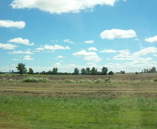 PAMPA - Estude os detalhes deste bioma do sul do Brasil.