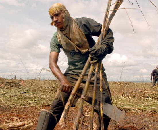 Questão Agrária no Brasil - Clique em Leia Mais e faça um simulado sobre o tema. Questão Agrária no Brasil - Clique em Leia Mais e faça um simulado sobre o tema.