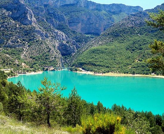 RELAÇÕES HÍDRICAS - Estude sobre bombeamento e transpiração, osmose e difusão. RELAÇÕES HÍDRICAS - Estude sobre bombeamento e transpiração, osmose e difusão.