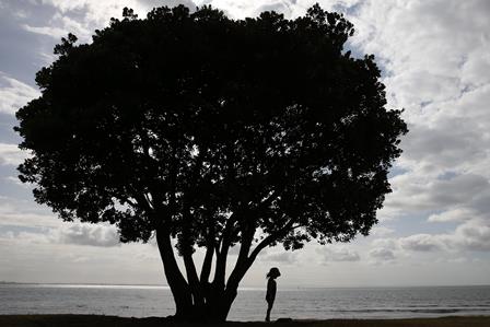 Unesp Rio Claro inscreve para bolsas de pós-doutorado em Ecologia