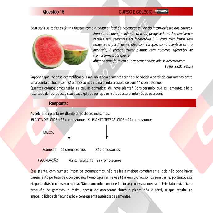 Unesp 2012/2 – segunda fase: questão 15