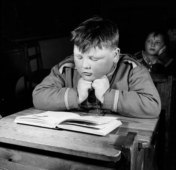 Laplander Pupil