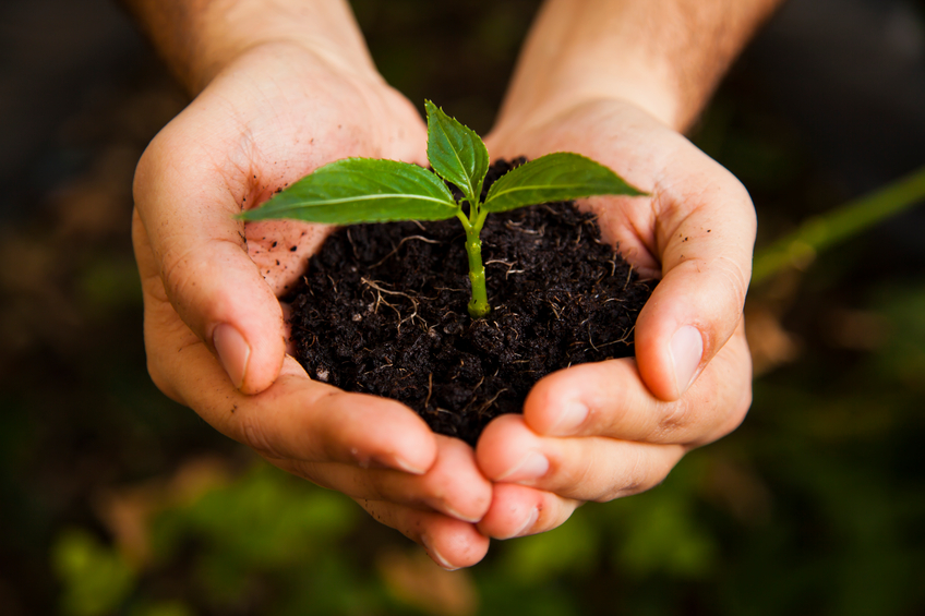 GE Bolsas: cursos de Agronomia com até 50% de desconto