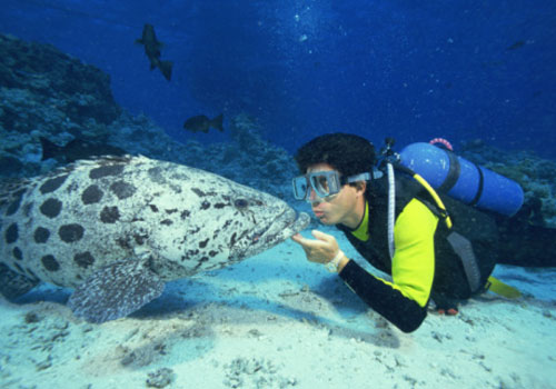 Os 8 melhores cursos de Oceanografia do Brasil