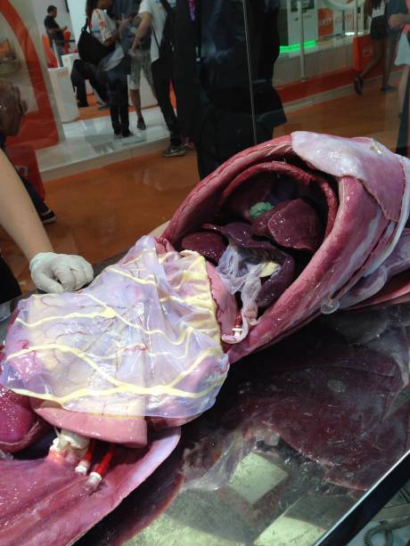 A Feira Guia do Estudante 2017 rolou entre os dias 14 e 16 de setembro no Anhembi, em São Paulo. Os visitantes puderam conferir palestras, simulados, jogos, testes vocacionais, dicas de estudo, orientação vocacional, informações de cursos no exterior, dicas de financiamento estudantil, oficinas profissionais e muito mais. A Feira Guia do Estudante 2017 rolou entre os dias 14 e 16 de setembro no Anhembi, em São Paulo. Os visitantes puderam conferir palestras, simulados, jogos, testes vocacionais, dicas de estudo, orientação vocacional, informações de cursos no exterior, dicas de financiamento estudantil, oficinas profissionais e muito mais.