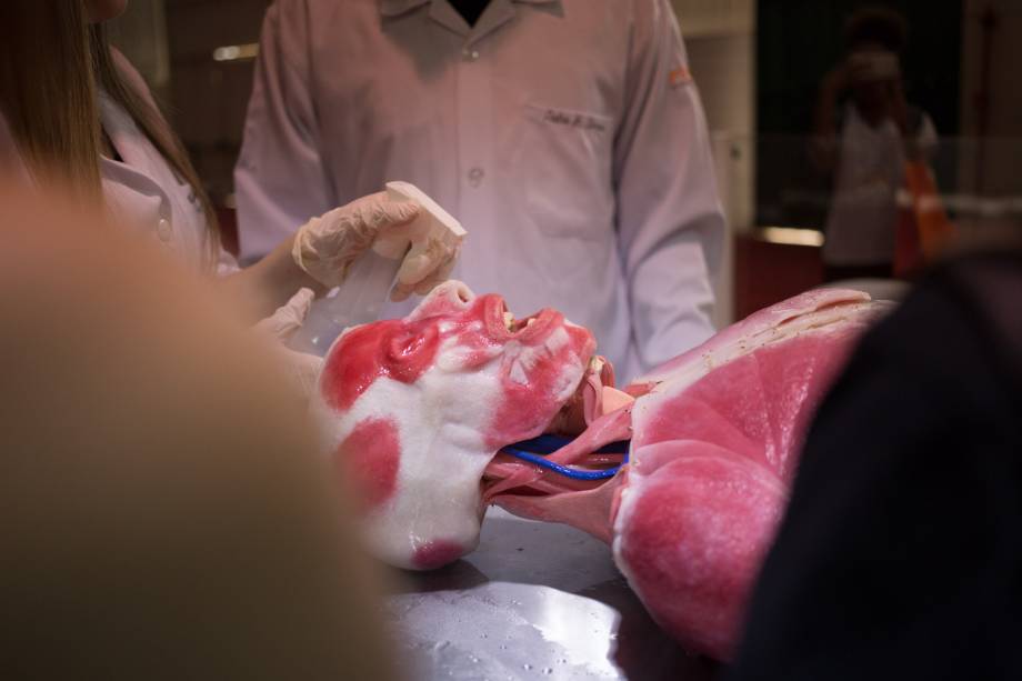 A Feira Guia do Estudante 2017 rolou entre os dias 14 e 16 de setembro no Anhembi, em São Paulo. Os visitantes puderam conferir palestras, simulados, jogos, testes vocacionais, dicas de estudo, orientação vocacional, informações de cursos no exterior, dicas de financiamento estudantil, oficinas profissionais e muito mais. A Feira Guia do Estudante 2017 rolou entre os dias 14 e 16 de setembro no Anhembi, em São Paulo. Os visitantes puderam conferir palestras, simulados, jogos, testes vocacionais, dicas de estudo, orientação vocacional, informações de cursos no exterior, dicas de financiamento estudantil, oficinas profissionais e muito mais.