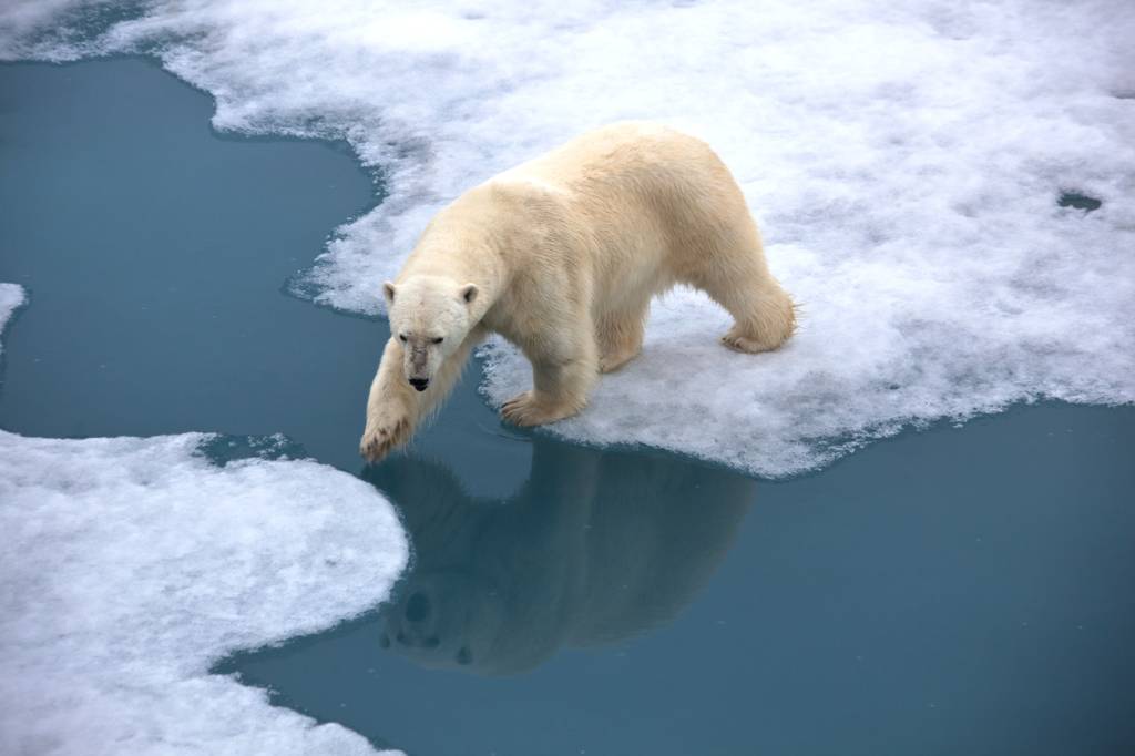 Live gratuita aborda as mudanças climáticas e como elas caem nas provas