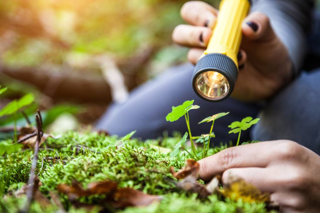 10 dicas para estudar Biologia para o vestibular e o Enem