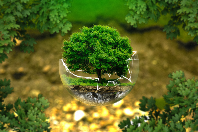 [Orientação] Quem faz ciências biológicas pode trabalhar com gestão ambiental_