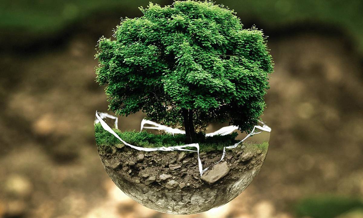 Ciencias da Natureza